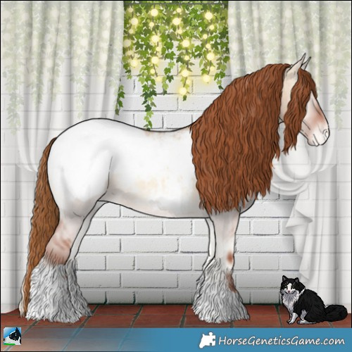 Horse Color:Red Dun Roan Onyx Tobiano Appaloosa 