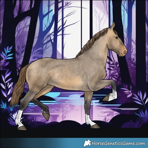 Horse Color:Buckskin Dun Tobiano Appaloosa 