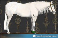 Horse Color:Cremello Dun Tobiano Blanket 