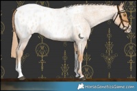 Horse Color:Red Roan Pearl Tobiano Frame Blanket 