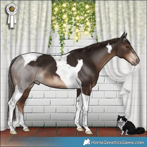 Horse Color:Liver Chestnut Tobiano 