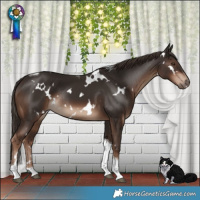 Horse Color:White Spotted Liver Chestnut Tobiano Rabicano