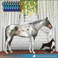 Horse Color:Liver Chestnut Tobiano Rabicano 