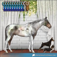 Horse Color:Liver Chestnut Tobiano Rabicano 