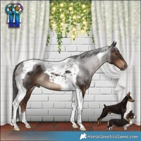 Horse Color:Liver Chestnut Tobiano Rabicano 