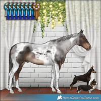 Horse Color:Liver Chestnut Tobiano Rabicano 