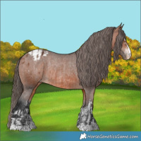 Horse Color:Bay Varnish Rabicano  and Bay Varnish Rabicano 