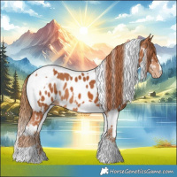 Horse Color:Chestnut Tobiano Appaloosa  and Chestnut Tobiano Appaloosa 