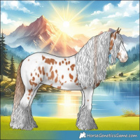 Horse Color:Chestnut Tobiano Appaloosa  and Chestnut Tobiano Appaloosa 