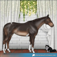Horse Color:Liver Chestnut Tobiano 