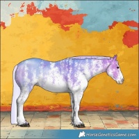 Horse Color:Watercolor White Spotted Silver Brown Dun Appaloosa 