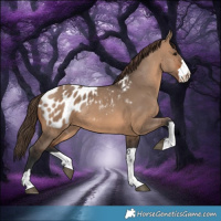 Horse Color:Brown Dun Blanket