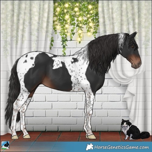 Horse Color:Liver Chestnut Tobiano 