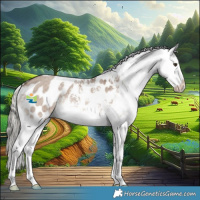 Horse Color:Liver Red Dun Mushroom Sabino Appaloosa Brindle 