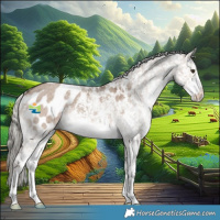 Horse Color:Liver Red Dun Mushroom Sabino Appaloosa Brindle