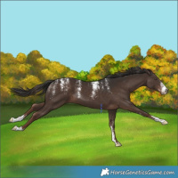 Horse Color:Powder White Liver Chestnut