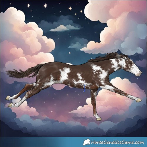 Horse Color:Liver Chestnut Sabino Rabicano 