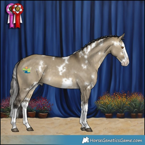 Horse Color:White Spotted Buckskin Dun Sabino Splash 