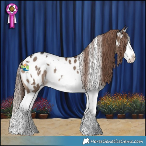 Horse Color:White Spotted Liver Red Dun Splash Appaloosa Rabicano 