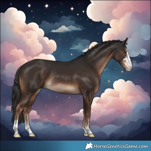 Horse Color:Liver Chestnut Sabino Rabicano 