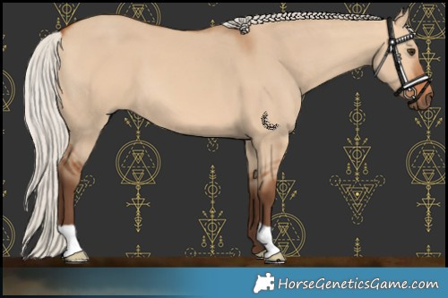 Horse Color:Silver Bay Dun 