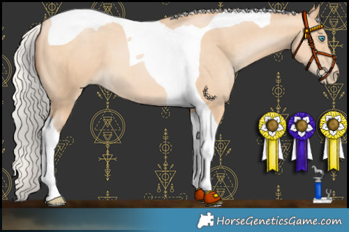 Horse Color:Silver Buckskin Pearl Tobiano 