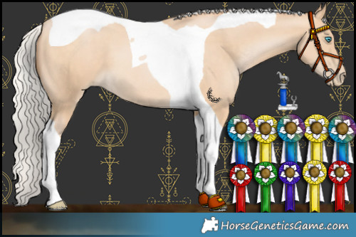 Horse Color:Silver Buckskin Pearl Tobiano 