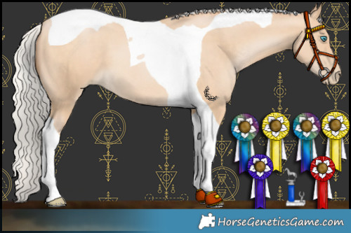 Horse Color:Silver Buckskin Pearl Tobiano