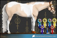 Horse Color:Silver Buckskin Pearl Tobiano 