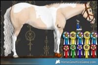 Horse Color:Silver Buckskin Pearl Tobiano