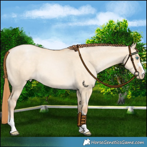 Horse Color:Chocolate Buckskin Pearl Dun