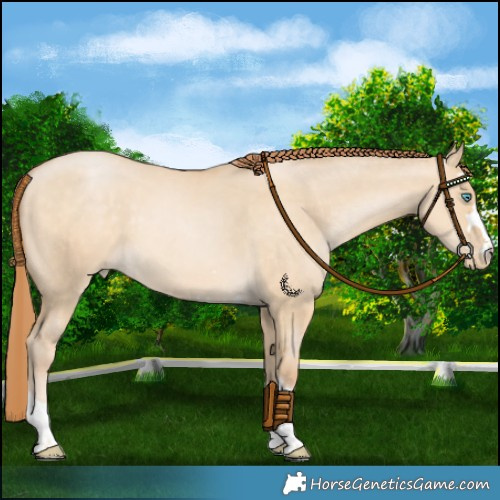Horse Color:Chocolate Buckskin Pearl Dun 