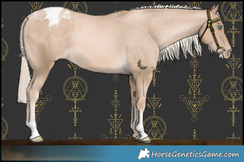 Horse Color:Chocolate Palomino Pearl Varnish 