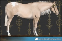 Horse Color:Chocolate Palomino Pearl Varnish 