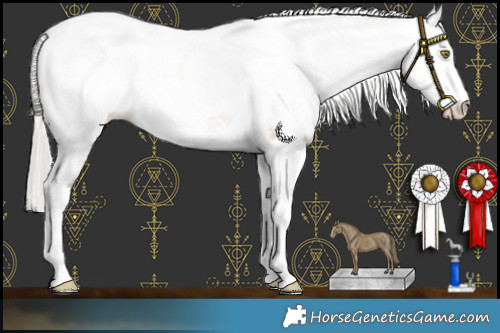 Horse Color:White Spotted Silver Brown Pearl Dun Appaloosa Rabicano 