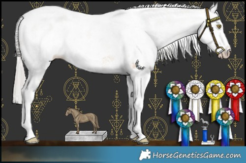 Horse Color:White Spotted Silver Brown Pearl Dun Appaloosa Rabicano 