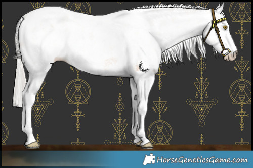 Horse Color:White Spotted Silver Brown Pearl Dun Appaloosa Rabicano 