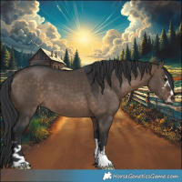 Horse Color:Brown Dun 