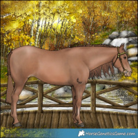 Horse Color:Chocolate Black Pearl 