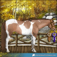 Horse Color:Brown Pearl Tobiano Rabicano 