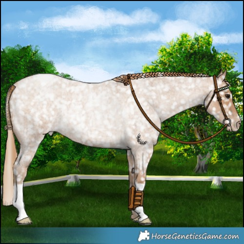 Horse Color:Blue Roan Pearl Snowflake Varnish Rabicano 