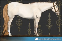 Horse Color:Buckskin Pearl Dun Varnish Rabicano