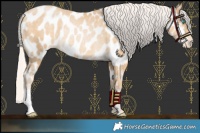 Horse Color:Silver Buckskin Pearl Near Leopard Rabicano 