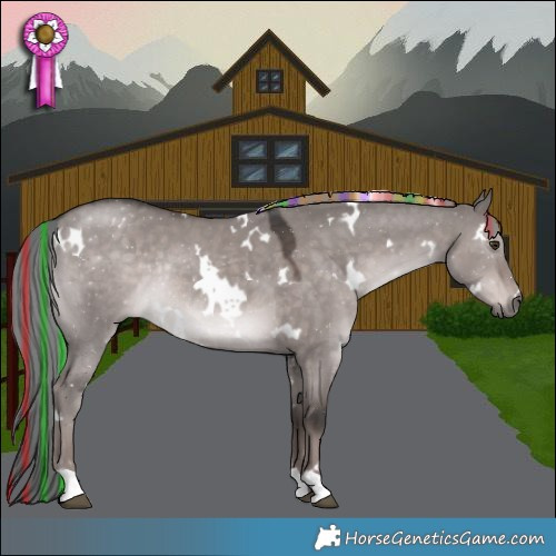 Horse Color:Platinum Painted White Spotted Liver Red Dun Mushroom Rabicano 