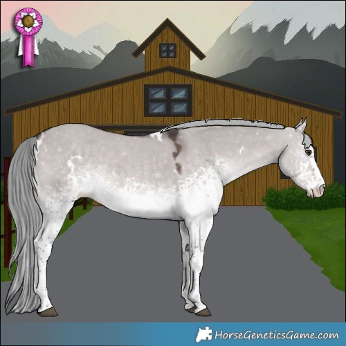 Horse Color:Platinum White Spotted Liver Red Dun Mushroom Rabicano 