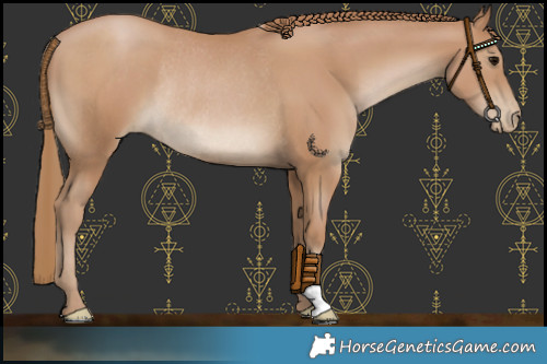 Horse Color:Black Pearl Rabicano