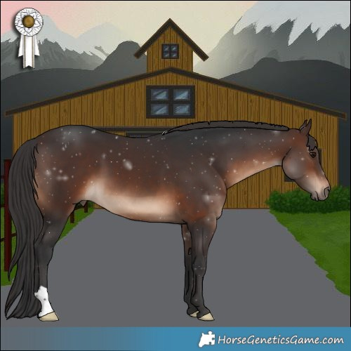 Horse Color:Brown 