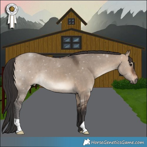 Horse Color:Brown Dun 