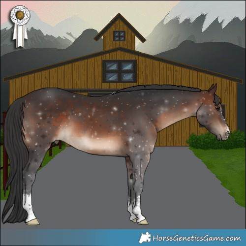 Horse Color:Brown Sabino 