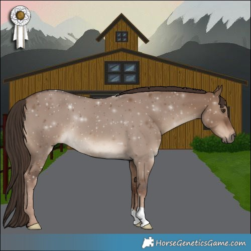 Horse Color:Liver Red Dun